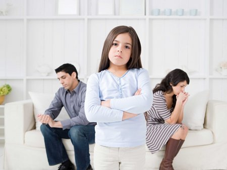 Семейные споры в бракоразводном процессе